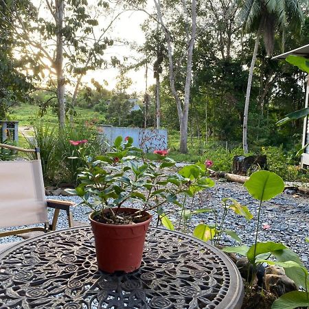 Kebun Lisdtari Farmstay Air Hangat Ngoại thất bức ảnh